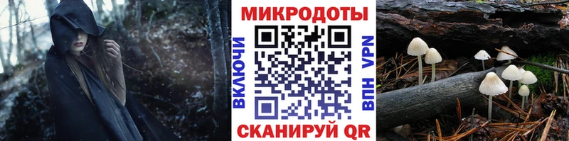 Псилоцибиновые грибы GOLDEN TEACHER блэк спрут ссылка Вятские Поляны