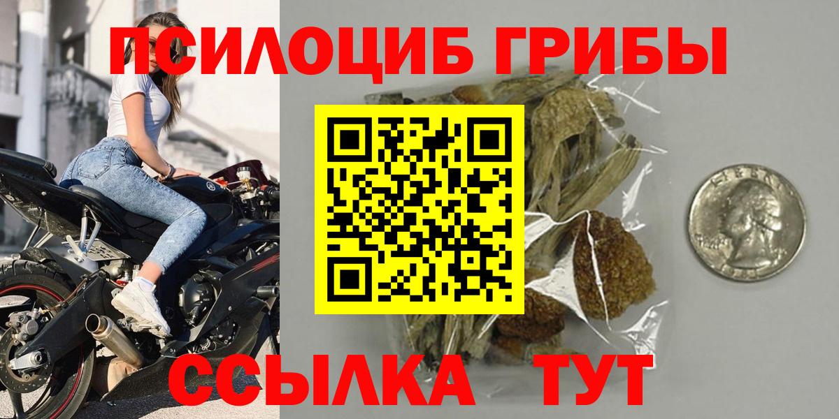 Псилоцибиновые грибы ЛСД Вятские Поляны