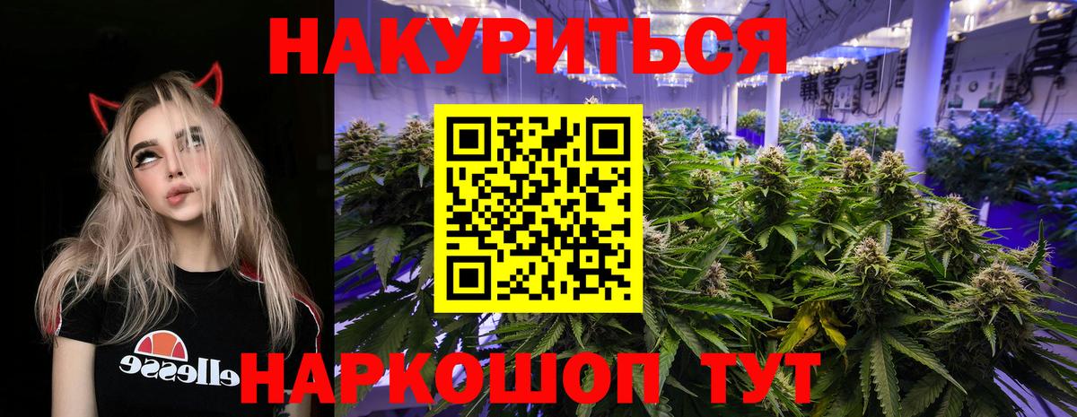 Каннабис сатива Вятские Поляны